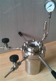 普林塞斯-不锈钢-高压反应器