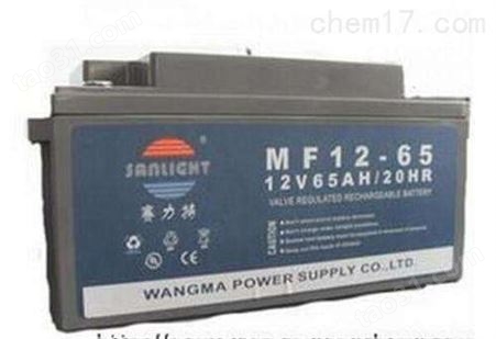 赛力特蓄电池MF24-12后备电源