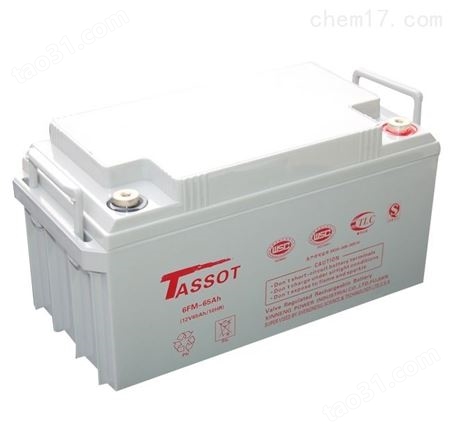 TASSOT泰斯特蓄电池12V17AH医疗设备
