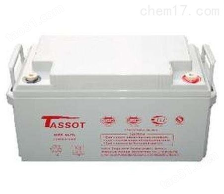 TASSOT泰斯特蓄电池12V100AH免维护电池