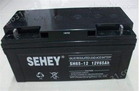 SEHEY西力蓄电池SH100-12/12V100AH区域代理