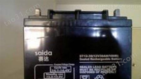 SAIDA赛达蓄电池12V100AH铅酸免维护