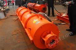 天津智匠泵业自平衡矿用潜水泵