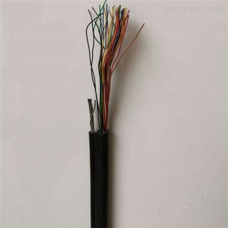 HPVV电缆价格 HPVV通信电缆50*2*0.6