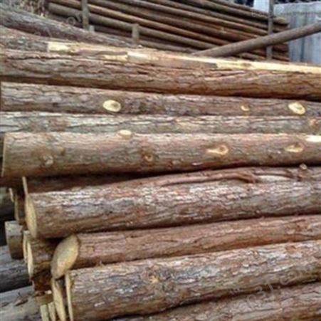 防腐杉木桩 10米杉木桩护岸 驳岸杉木桩销售
