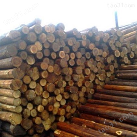 防腐杉木桩 10米杉木桩护岸 驳岸杉木桩销售