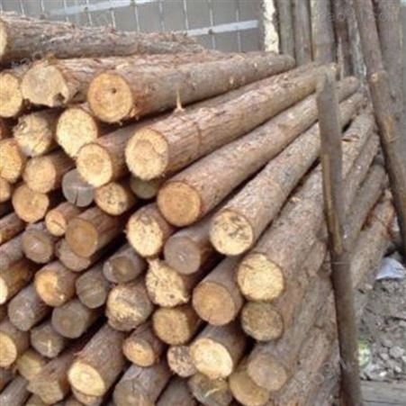 防汛杉木桩批发 苏州杉木桩尺寸 胜洁木业