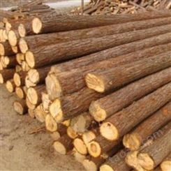 泰州杉木桩出售 盐城杉木桩施工 胜洁木业