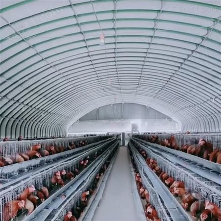 养殖建大棚 养鸡用大棚建设 养鸡的大棚 聚友信达ONF型