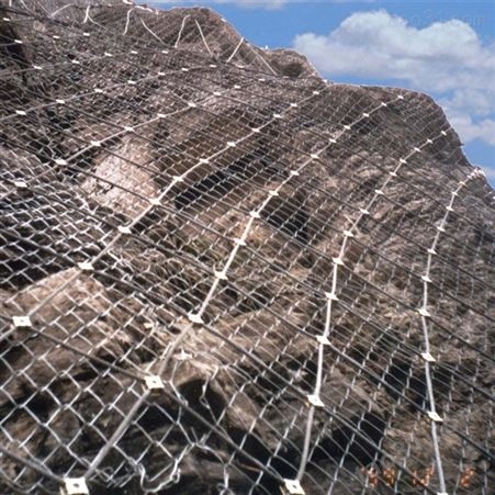 丛泰 边坡防护网  滑坡防护网 主动边坡防护网  被动边坡防护网  山体滑坡防护网防护网