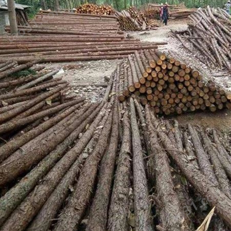 上海杉木桩尺寸 防汛杉木桩护岸 防汛杉木桩销售