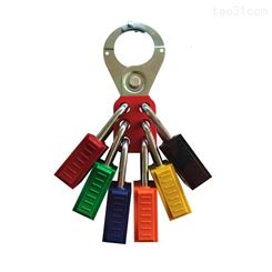 铂铒盾PATRON 安全挂锁上锁挂牌锁具11215蓝色不同花钥匙塑料锁体