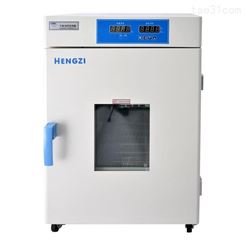 上海新诺 HGPF-9082 不锈钢电热干燥箱 恒温生化培养箱 干燥/培养两用箱