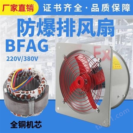 防爆轴流风机BFAG-300/400工业排风扇380V220V强力风扇方形电风扇