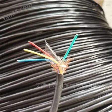 DJFPFP2*2*1.5耐高温防腐计算机电缆