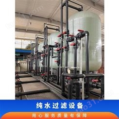 产水量1T 支持 工作压力10psi 型号yy-02262 可定制 纯水过滤设备
