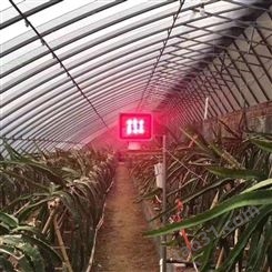 红皎阳激光大棚补光灯 专用火龙果补光的 G101 12W 一亩地一个灯 催花 提前上市 提升品质