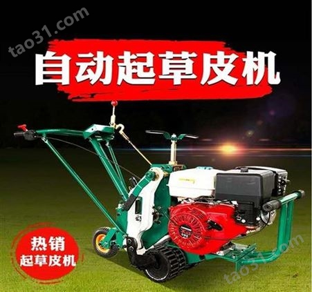 天然草坪划线机 草坪划线切块机 自行式果岭草除草机 草皮划线机