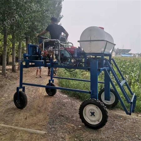农用蔬菜地打药机 小型四轮座驾式喷药机 自走式水冷喷雾机