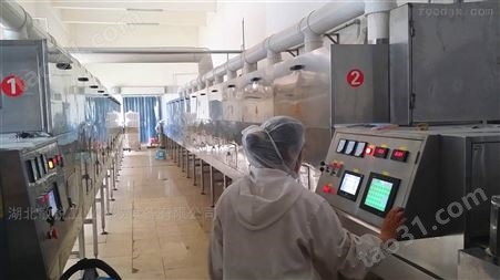 化工微波烘干机厂家  药业微波杀菌设备