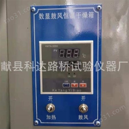  101-A系列电热鼓风干燥箱 多功能烘干箱 干燥箱 可定做