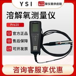 美国维赛YSI Pro20 便携式溶氧仪 溶解氧测定仪 溶氧仪