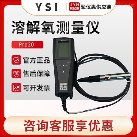美国维赛YSI Pro20 便携式溶氧仪 溶解氧测定仪 溶氧仪