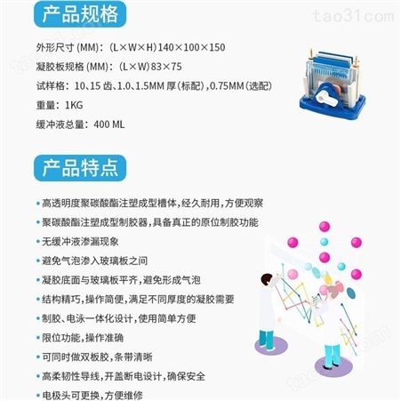 北京六一迷你双垂直电泳仪DYCZ-24DN电泳仪电源蛋白凝胶电泳