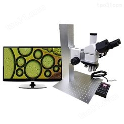 WeeTorOptic-电动金相显微镜 影像测量显微镜 厚度测量显微镜 微特视界显微镜厂家