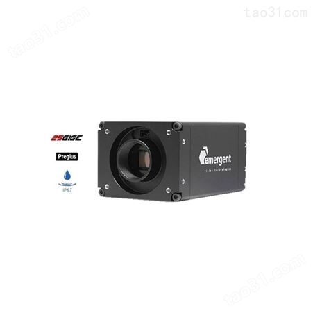 加拿大EVT万兆网工业相机HR-30000-S-C冲线瞬间拍摄体育赛事S