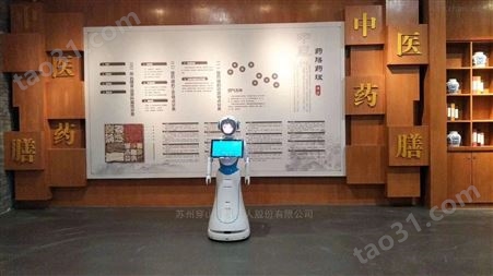 湖北大冶铜矿博物馆旅游景区导览讲解机器人