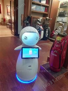 湖南智能税务展厅迎宾讲解机器人